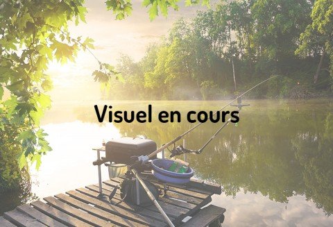 Documentations Sur Les Autres Poissons